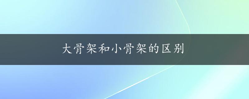 大骨架和小骨架的区别