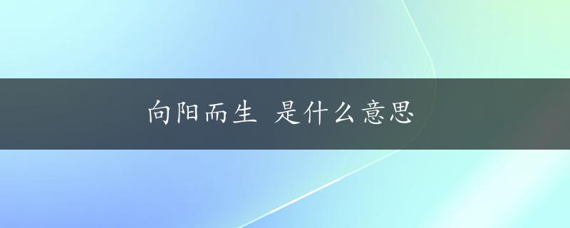 向阳而生 是什么意思