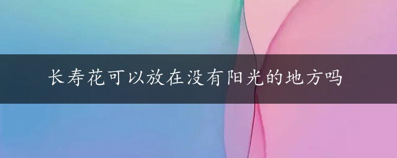 长寿花可以放在没有阳光的地方吗