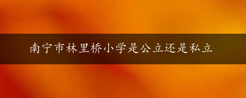 南宁市林里桥小学是公立还是私立