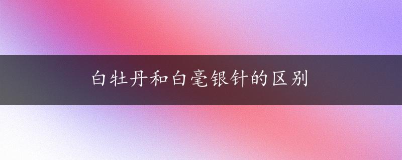 白牡丹和白毫银针的区别