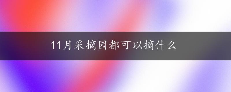 11月采摘园都可以摘什么