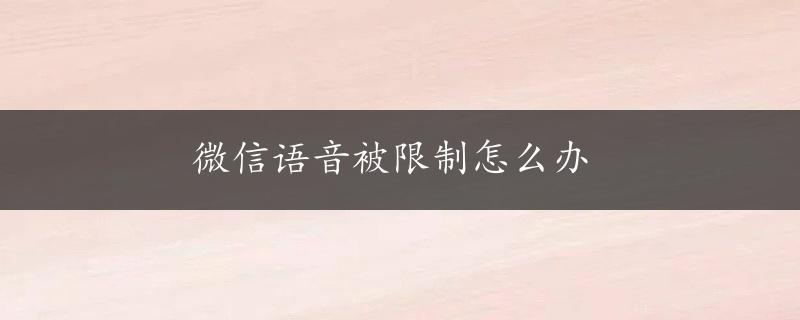 微信语音被限制怎么办