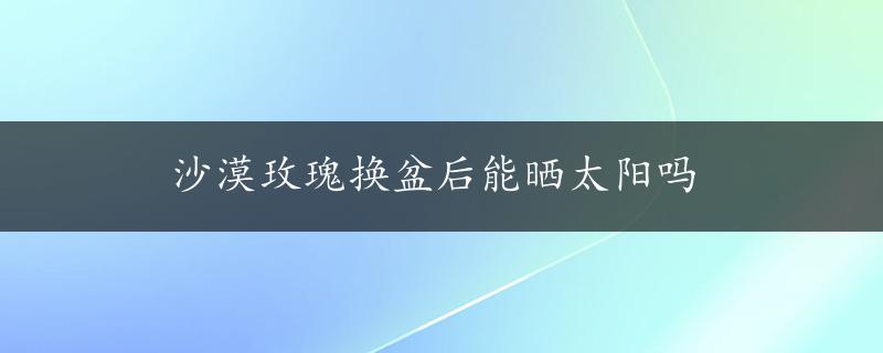 沙漠玫瑰换盆后能晒太阳吗