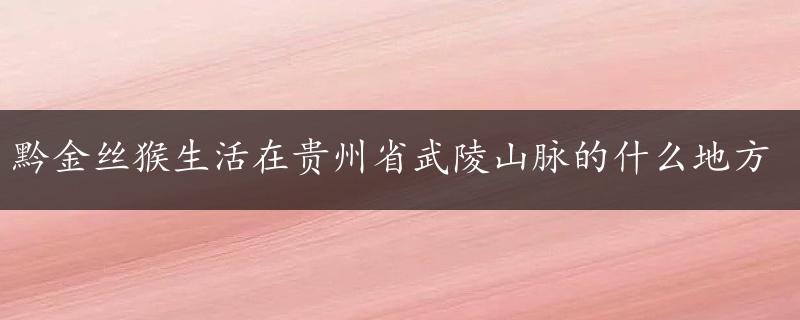 黔金丝猴生活在贵州省武陵山脉的什么地方