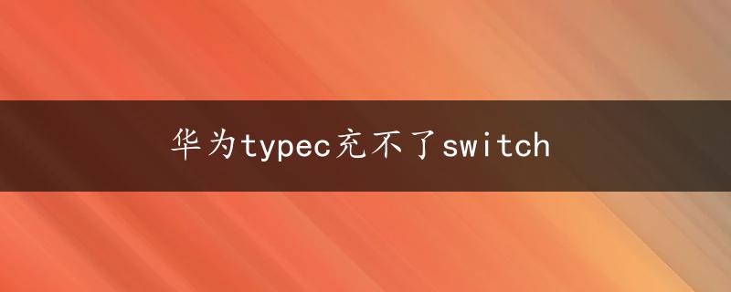 华为typec充不了switch