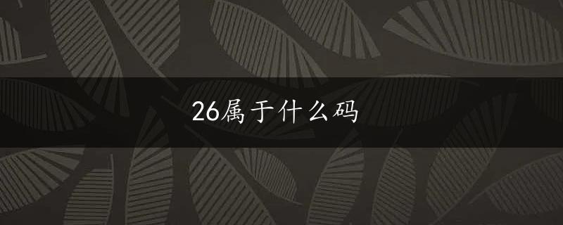 26属于什么码