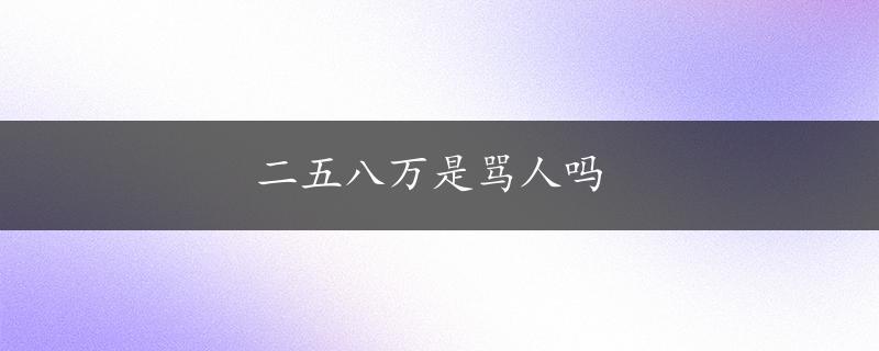 二五八万是骂人吗