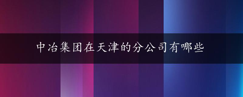 中冶集团在天津的分公司有哪些