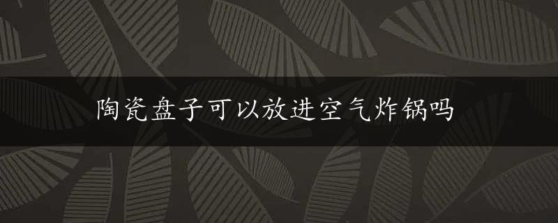 陶瓷盘子可以放进空气炸锅吗