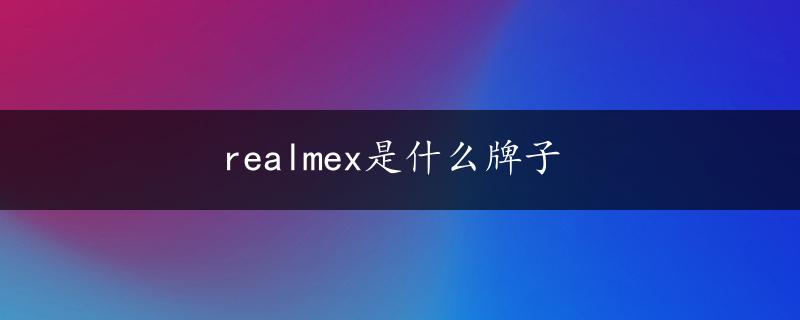 realmex是什么牌子