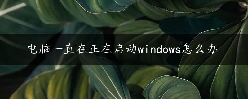 电脑一直在正在启动windows怎么办