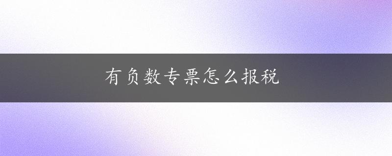 有负数专票怎么报税