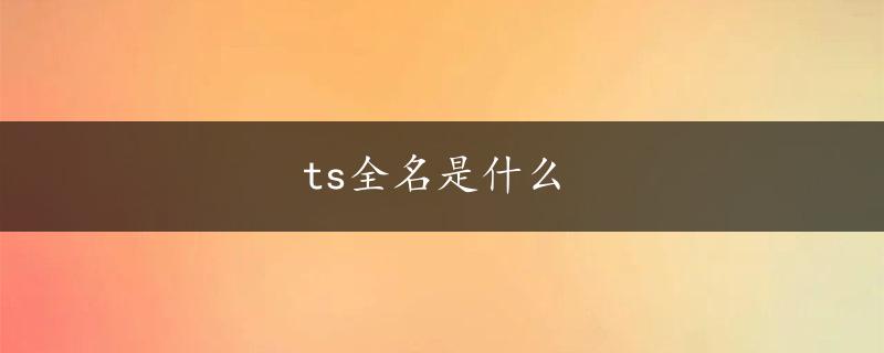 ts全名是什么