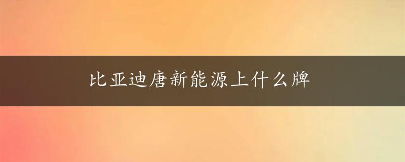 比亚迪唐新能源上什么牌