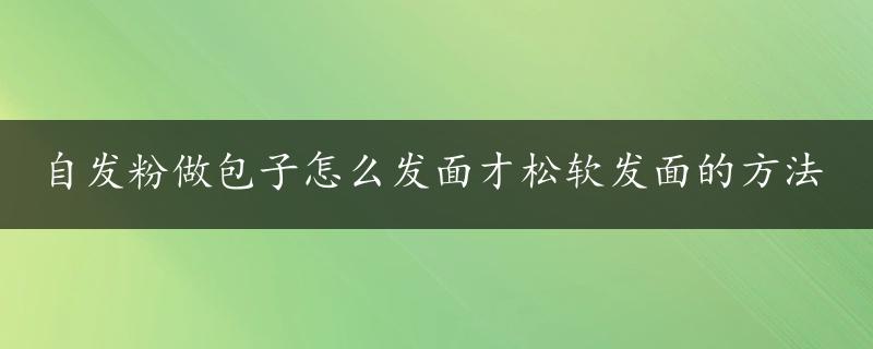 自发粉做包子怎么发面才松软发面的方法