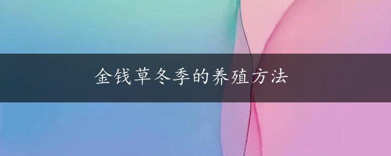 金钱草冬季的养殖方法