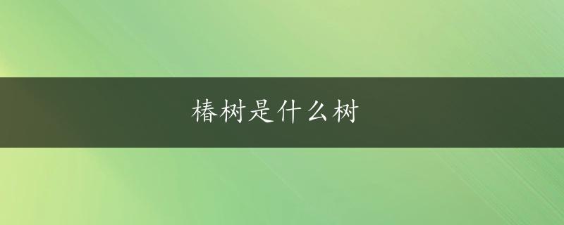 椿树是什么树