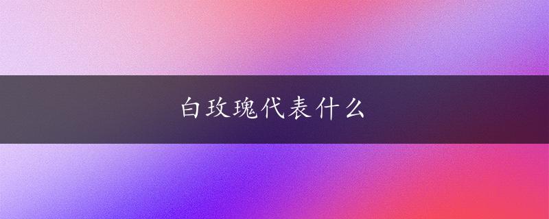 白玫瑰代表什么