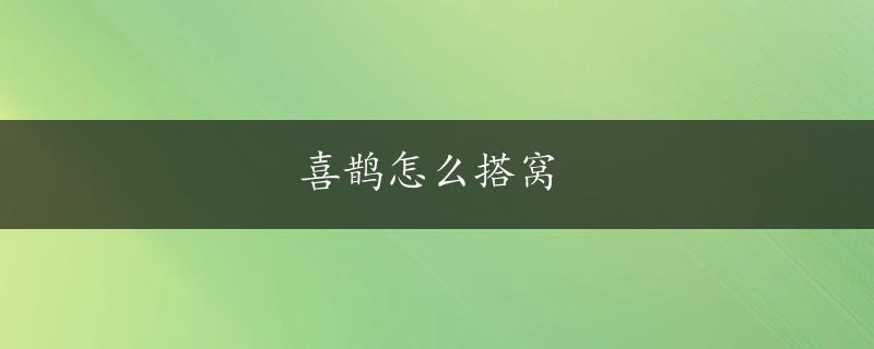 喜鹊怎么搭窝