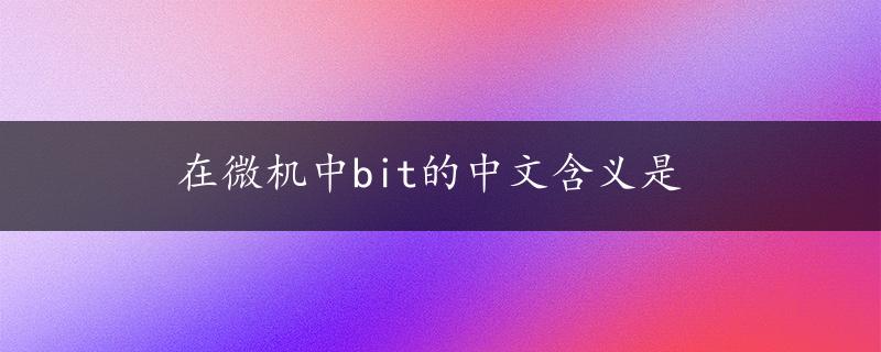 在微机中bit的中文含义是