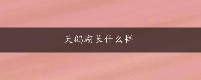 天鹅湖长什么样