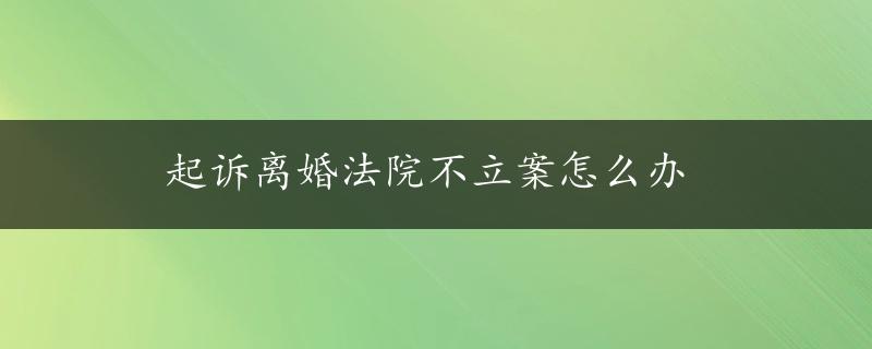 起诉离婚法院不立案怎么办