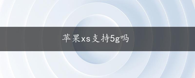 苹果xs支持5g吗