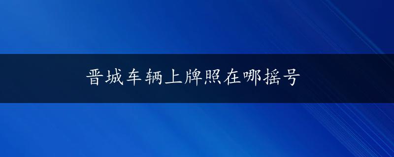 晋城车辆上牌照在哪摇号