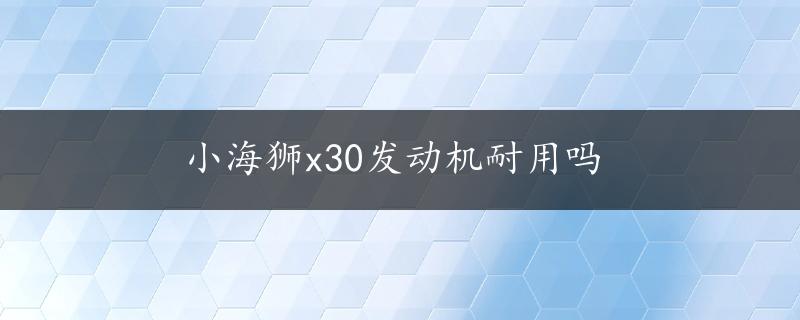 小海狮x30发动机耐用吗