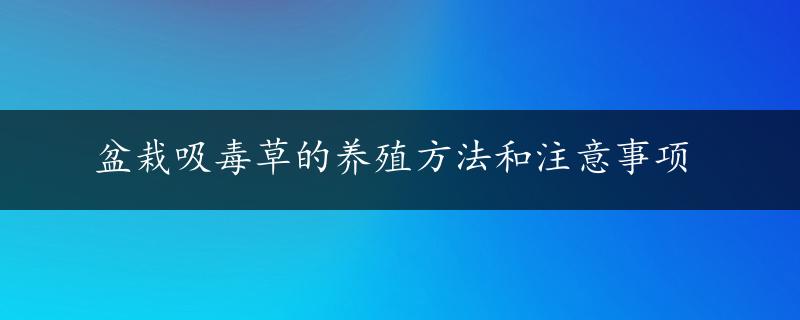 盆栽吸毒草的养殖方法和注意事项