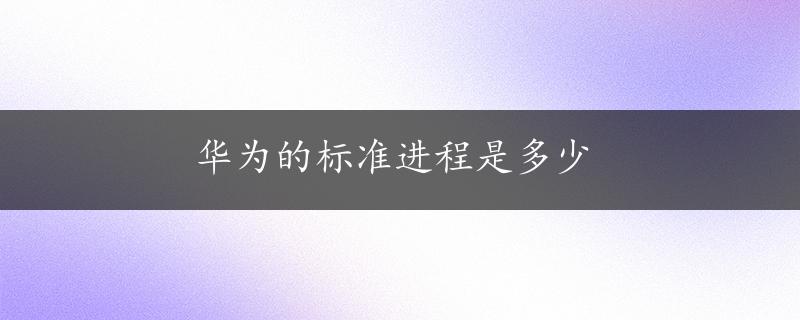 华为的标准进程是多少