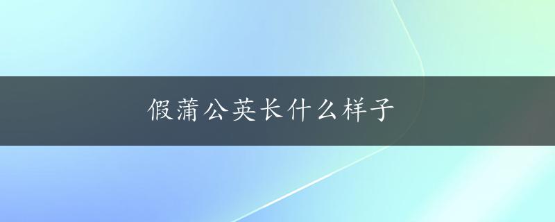 假蒲公英长什么样子