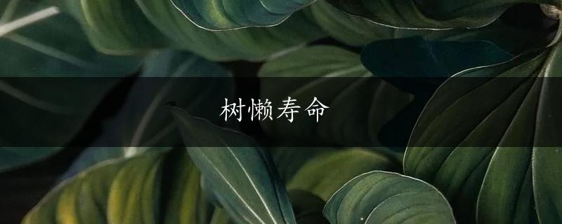 树懒寿命