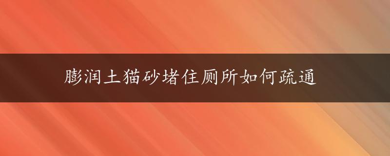 膨润土猫砂堵住厕所如何疏通