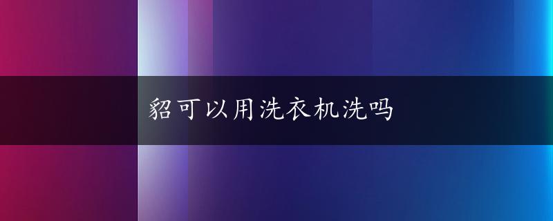 貂可以用洗衣机洗吗