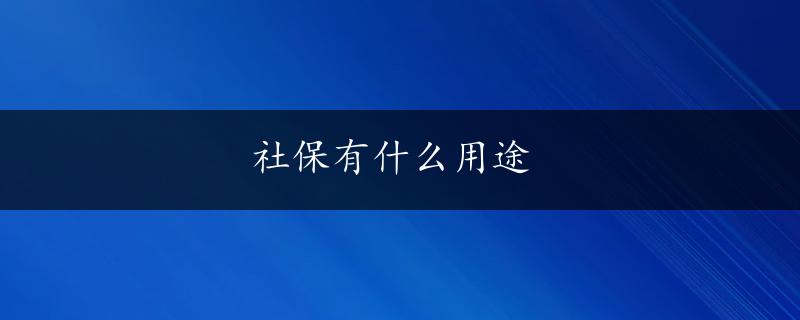 社保有什么用途