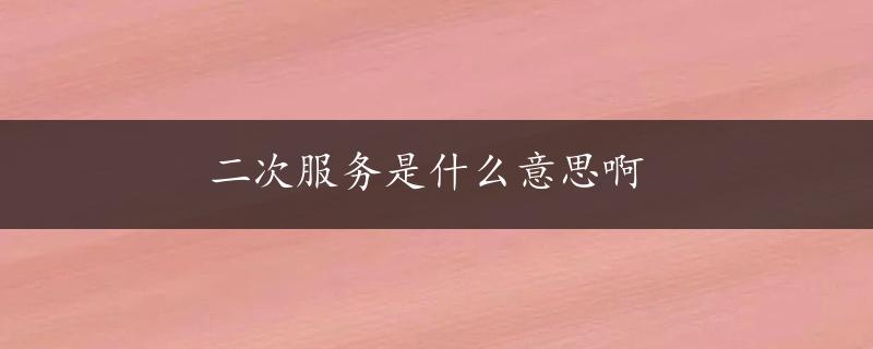 二次服务是什么意思啊