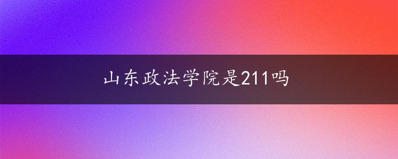 山东政法学院是211吗