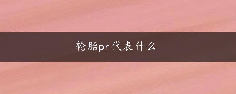 轮胎pr代表什么