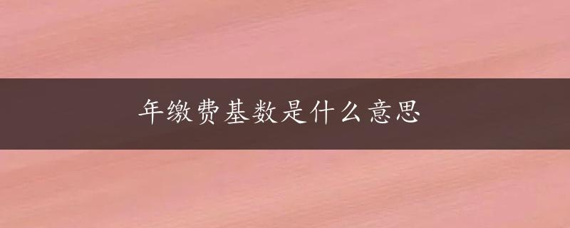 年缴费基数是什么意思