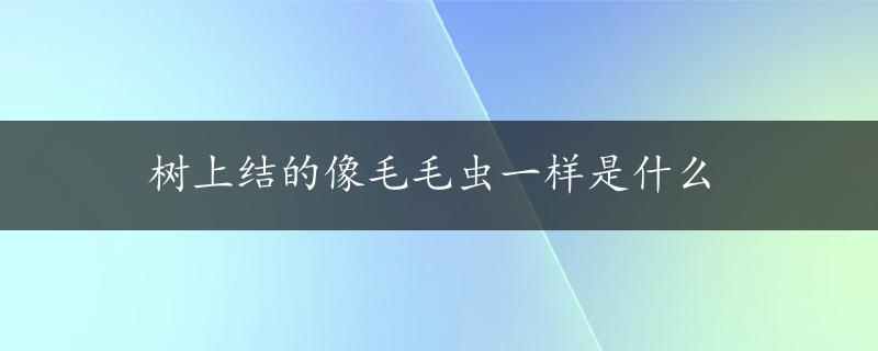 树上结的像毛毛虫一样是什么