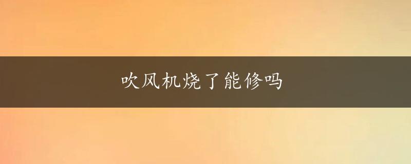 吹风机烧了能修吗