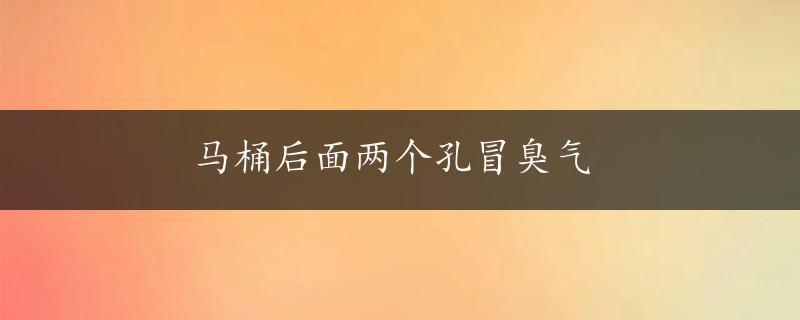 马桶后面两个孔冒臭气