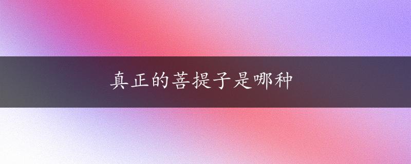 真正的菩提子是哪种