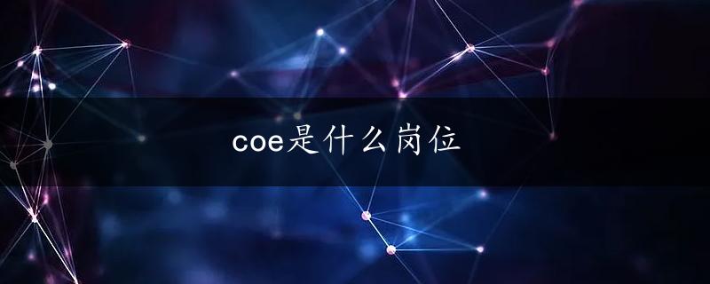 coe是什么岗位