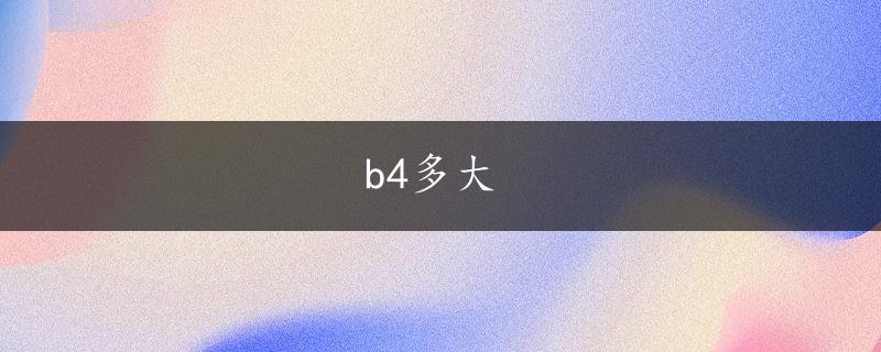 b4多大