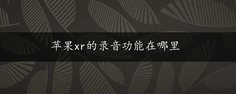 苹果xr的录音功能在哪里