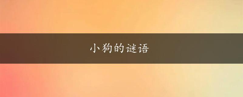 小狗的谜语