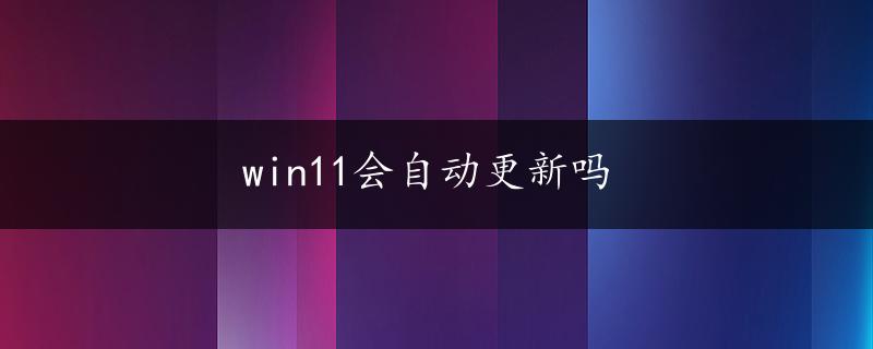 win11会自动更新吗